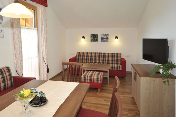 Heller Wohnraum im Appartement in Ramsau am Dachstein