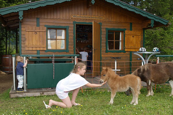 Die Kinder spielen gerne mit den Ponys