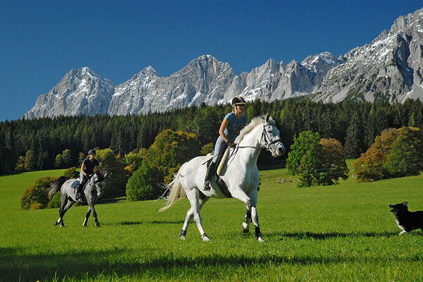 Horseback riding with a view of the Dachstein